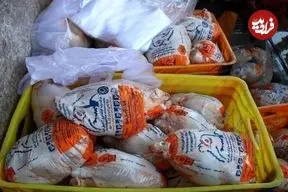 افزایش قیمت مرغ در پایان سال جدی شد؟/ طلاکش: مرغ گران شود هم از این عدد بالاتر نمی‌رود