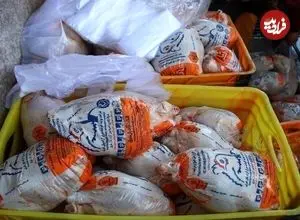 افزایش قیمت مرغ در پایان سال جدی شد؟/ طلاکش: مرغ گران شود هم از این عدد بالاتر نمی‌رود