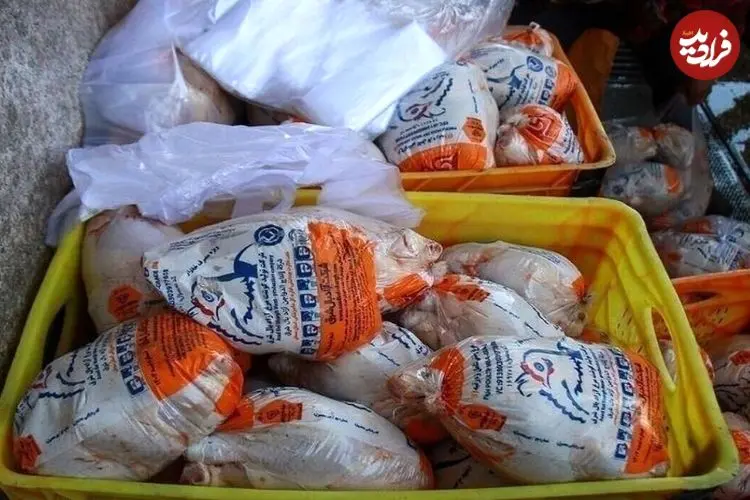 افزایش قیمت مرغ در پایان سال جدی شد؟/ طلاکش: مرغ گران شود هم از این عدد بالاتر نمی‌رود