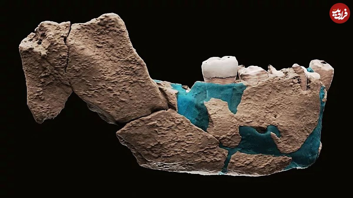 کشف بقایای گونه‌ای ناشناخته‌ از انسان با قدمت بیش از ۱۲۰ هزار سال