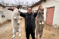 ببینید؛ غذای روستایی در روسیه؛ پخت یک غذای سنتی با خرگوش و سبزیجات