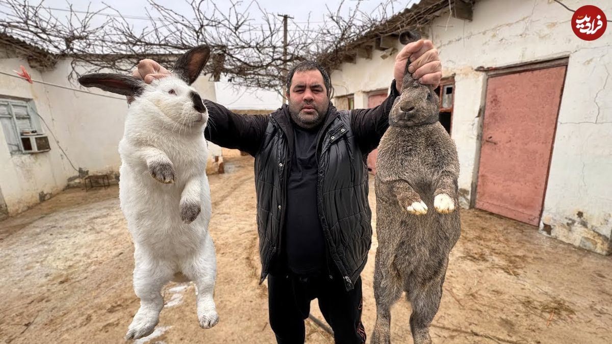 ببینید؛ غذای روستایی در روسیه؛ پخت یک غذای سنتی با خرگوش و سبزیجات
