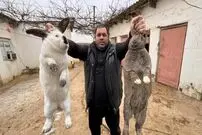 ببینید؛ غذای روستایی در روسیه؛ پخت یک غذای سنتی با خرگوش و سبزیجات