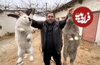 ببینید؛ غذای روستایی در روسیه؛ پخت یک غذای سنتی با خرگوش و سبزیجات