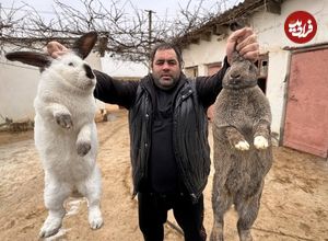 ببینید؛ غذای روستایی در روسیه؛ پخت یک غذای سنتی با خرگوش و سبزیجات