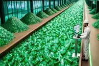 ببینید| مراحل بازیافت میلیون ها بطری شیشه ای و تولید محصول جدید با آن ها در آلمان