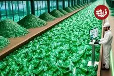 ببینید| مراحل بازیافت میلیون ها بطری شیشه ای و تولید محصول جدید با آن ها در آلمان