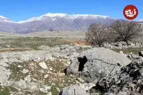 کتیبۀ باستانی «نبرد پهلوان و مار» در کوه‌های خوزستان کشف شد