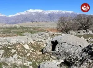 کتیبۀ باستانی «نبرد پهلوان و مار» در کوه‌های خوزستان کشف شد