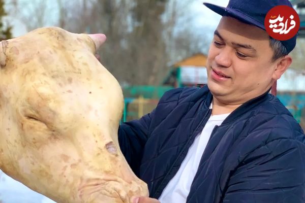 (ویدئو) طبخ هیجان انگیز کله پاچه غول پیکر گاو توسط آشپز روستایی قزاقستانی