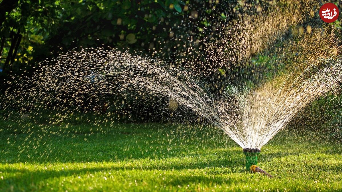 آیا باید در پاییز به «چمن» آب بدهیم؟ 