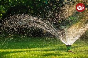 آیا باید در پاییز به «چمن» آب بدهیم؟ 