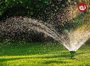 آیا باید در پاییز به «چمن» آب بدهیم؟ 