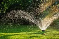 آیا باید در پاییز به «چمن» آب بدهیم؟ 