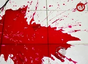 مقتولی که پس از ۱۰ سال به خواب شاهد آمده بود باعث افشای راز ۱۰ساله پرونده قتل شد