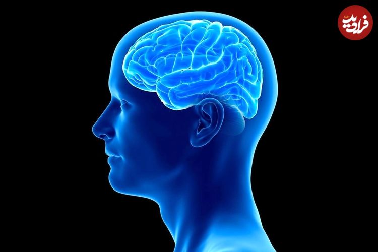 ببینید؛ آیا می‌توان خاطرات را پس از مرگ بازیابی کرد؟