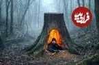 ببینید| مراحل صفر تا صد ساخت پناهگاه مخفی زیر تنه یک درخت در جنگل های آلمان