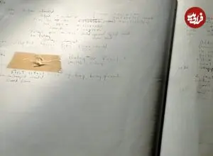 مشهورترین باگ کامپیوتری واقعا یک حشره بود