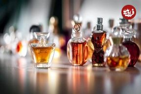گیاه نایاب خراسان‌شمالی بازار عطر جهانی را زیر و رو می‌کند