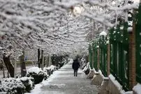 هوا دوباره سرد می شود؟ | پیش بینی وضعیت دمای هوا تا پایان اسفند | بارش‌ها در بهار سال آینده شدت می گیرد؟