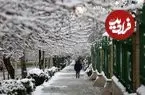 هوا دوباره سرد می شود؟ | پیش بینی وضعیت دمای هوا تا پایان اسفند | بارش‌ها در بهار سال آینده شدت می گیرد؟
