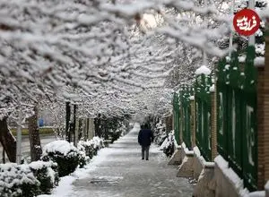 هوا دوباره سرد می شود؟ | پیش بینی وضعیت دمای هوا تا پایان اسفند | بارش‌ها در بهار سال آینده شدت می گیرد؟