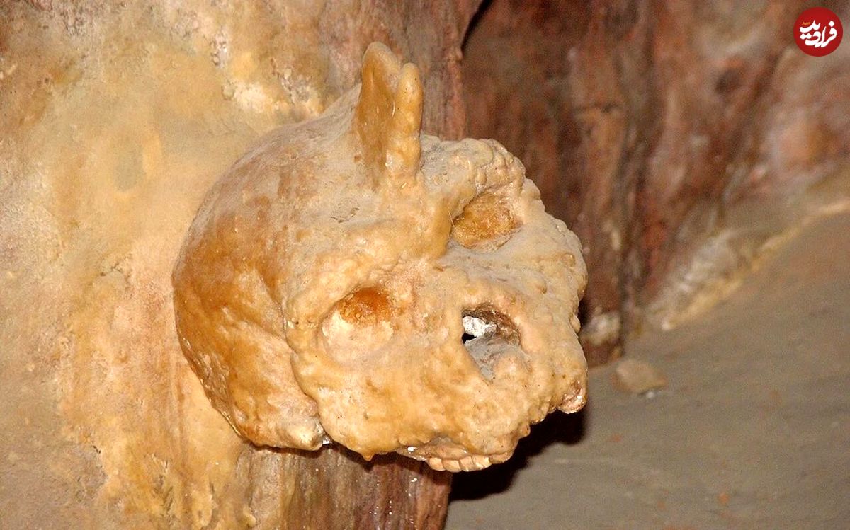 این موجود ناشناختۀ «انساننما» 286 هزار سال قبل در یک غار مرده است