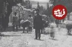 عکس| سفر زمان؛ عبور کاروان الاغ‌ها از خیابان «کامرانیه»؛ 140 سال قبل