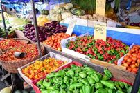 فقط یک کشور در دنیا غذای کافی برای تامین نیازهای خود را تولید می‌کند