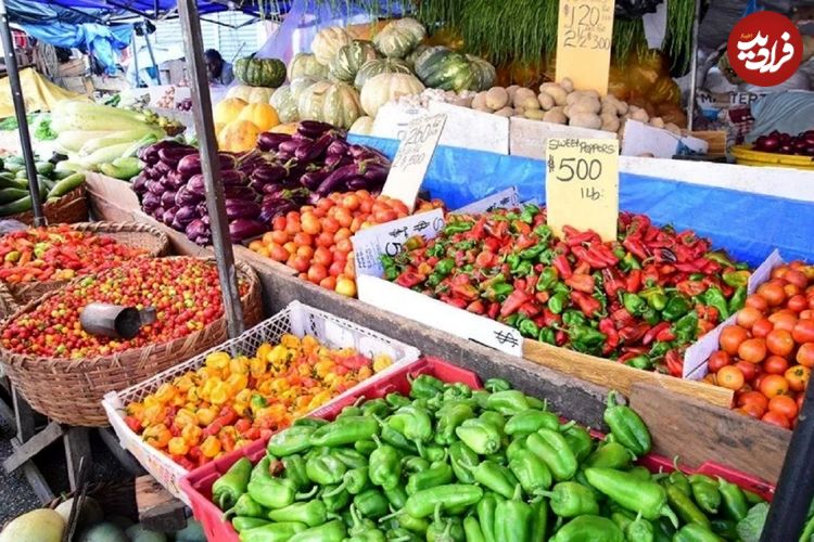 فقط یک کشور در دنیا غذای کافی برای تامین نیازهای خود را تولید می‌کند