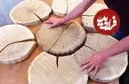 ببینید| نحوه ساخت یک میز چوبی متفاوت با تنه درخت به روش نجار ماهر آلمانی 