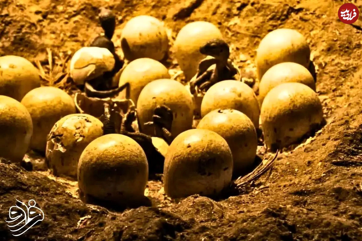 عکس| کشف جنین ۷۰ میلیون ساله دایناسور؛ شبیه جنین جوجه‌!