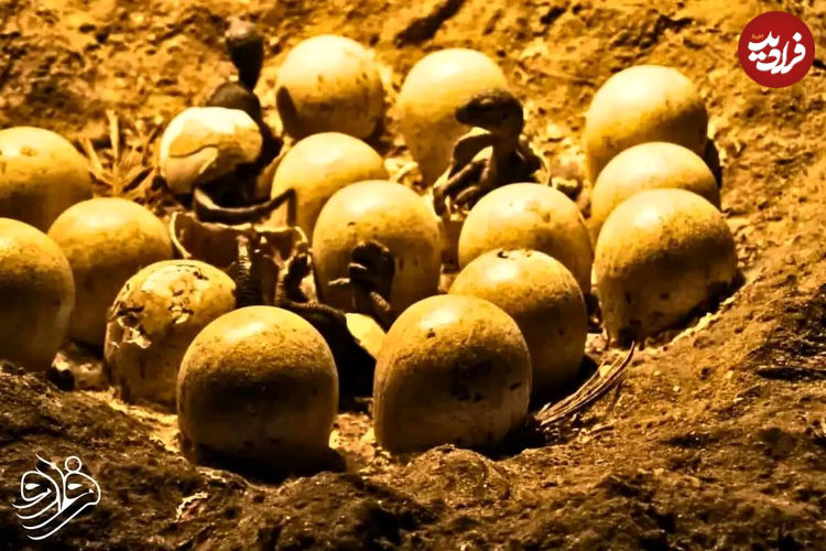 عکس| کشف جنین ۷۰ میلیون ساله دایناسور؛ شبیه جنین جوجه‌!