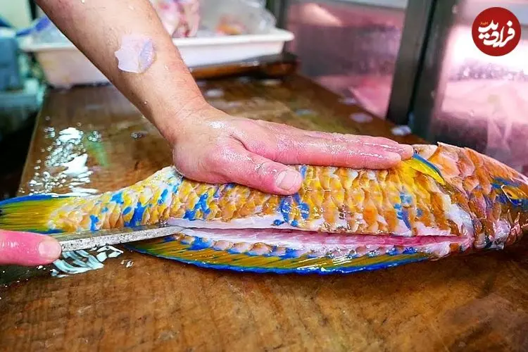 ببینید| غذای خیابانی در ژاپن؛ پخت یک غذای سنتی با طوطی ماهی در اوکیناوا