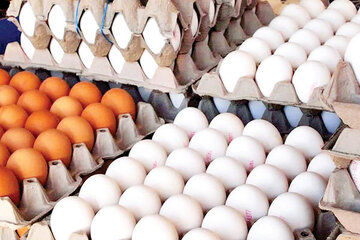 (عکس) گران‌ترین تخم‌مرغ جهان