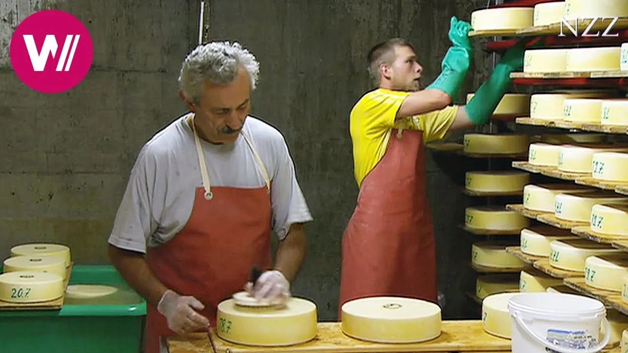 (ویدئو) ببینید سوئیسی ها چگونه گران ترین پنیر جهان را در کارخانه تولید می کنند
