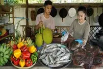 ببینید| غذای روستایی در کامبوج؛ پخت یک غذای محلی با سفره ماهی و ماهی باکرل