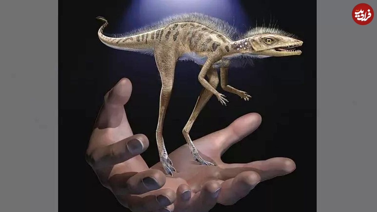 (عکس) رمزگشایی محققان از فسیل دایناسوری کوچکتر از گوشی تلفن همراه