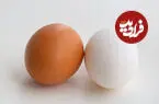 سفید یا قهوه ای؛ کدام تخم مرغ انتخاب بهتری است؟