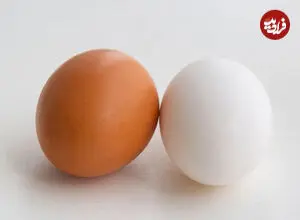 سفید یا قهوه ای؛ کدام تخم مرغ انتخاب بهتری است؟
