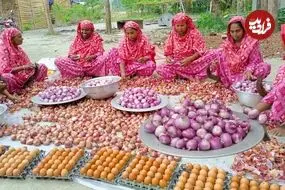 ببینید| غذای روستایی در بنگلادش؛ پخت خوراک با 300 تخم مرغ و 40 کیلو پیاز