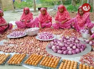 ببینید| غذای روستایی در بنگلادش؛ پخت خوراک با 300 تخم مرغ و 40 کیلو پیاز