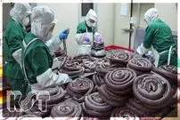 (ویدئو) ببینید چگونه کارخانه معروف روزانه هزاران کیلو سوسیس خون تولید می کند