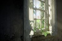 تصاویر؛ فانتزی مرگ در عصر آنتروپوسن؛ تحلیل زیست‌محیطی بازی The Last of Us