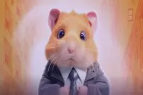 هشدار مهم همستر کامبت: ایردراپ بر اساس پرافیت است، نه تعداد سکه‌ها
