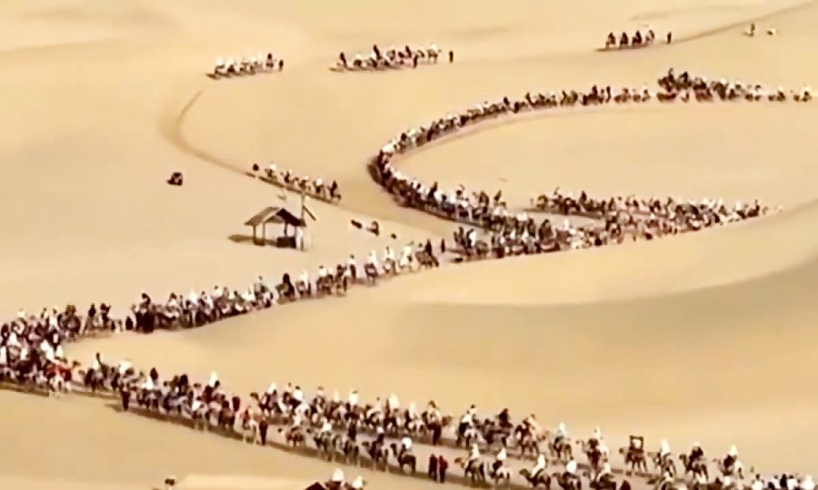 (ویدئو) راه‌بندان شترها؛ هزاران گردشگر سوار بر شتر در بیابان