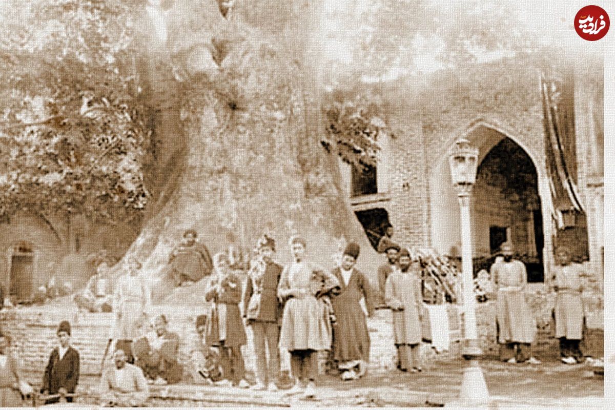 (عکس) چنار باشکوه امامزاده صالح (ع)؛ یک قرن قبل