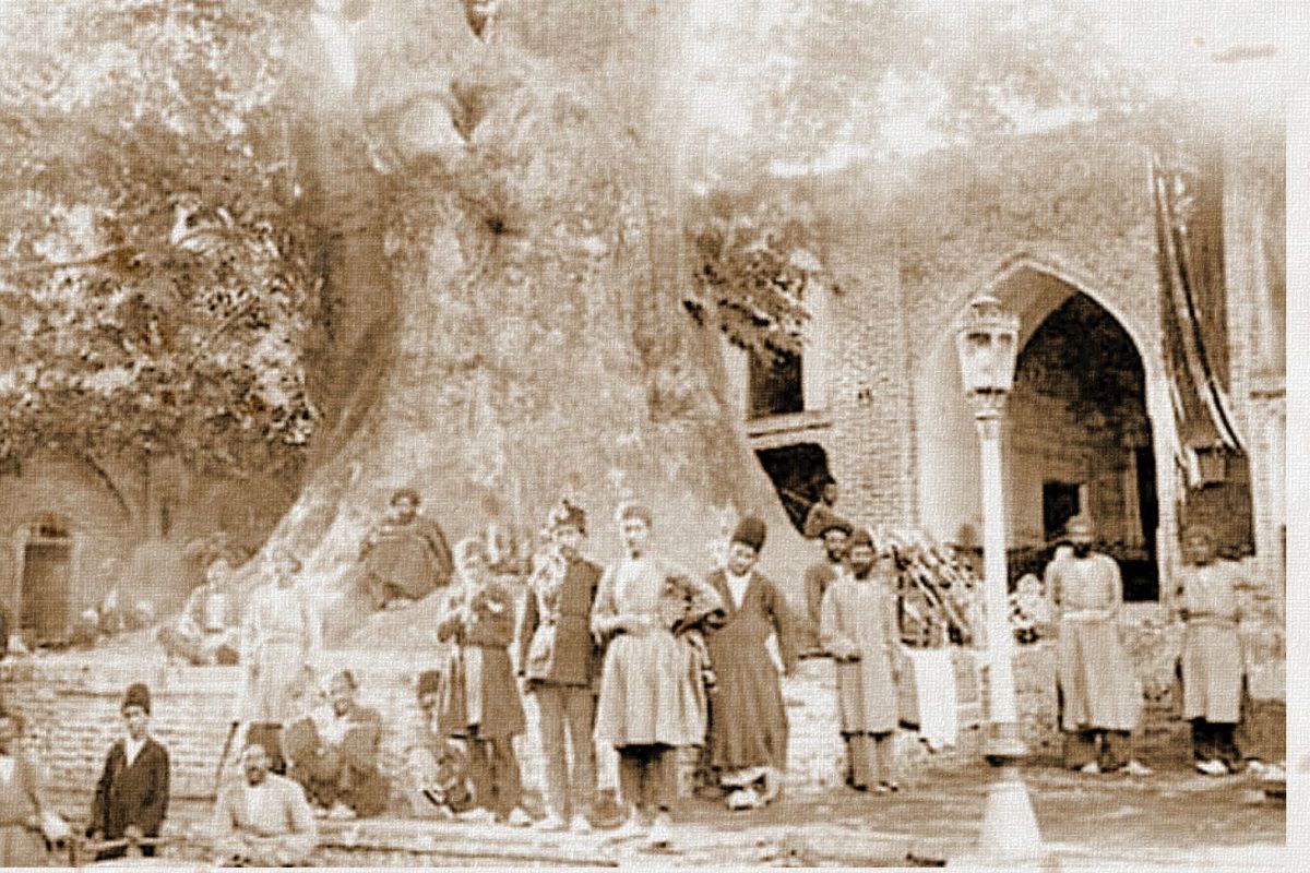 (عکس) چنار باشکوه امامزاده صالح (ع)؛ یک قرن قبل