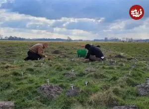کشف «دروازۀ 800 ساله» به کمک «موش‌های کور»