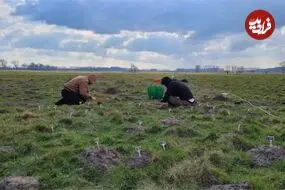 کشف «دروازۀ 800 ساله» به کمک «موش‌های کور»